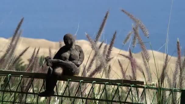 Pequena estátua perto do Mar Morto disparada em Israel — Vídeo de Stock