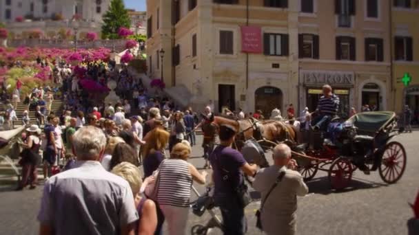 Άλογο και άμαξα μπροστά από την Trinita dei Monti — Αρχείο Βίντεο