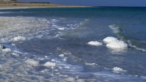 Salty Dead Sea shore shot in Israel — Stock Video