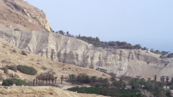 Ein Gedi mountain regionen av israel — Stockvideo