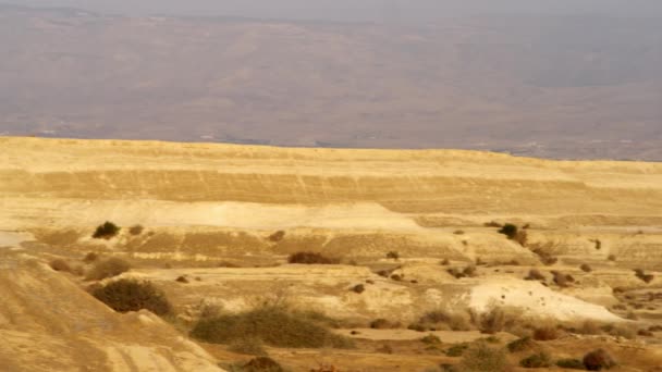 Panorama d'un paysage désertique en Israël — Video