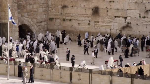 Ebrei al Muro Occidentale in Israele — Video Stock