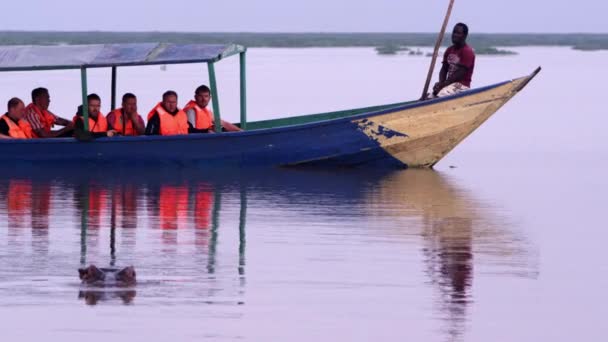 Turistas fotografam hipopótamos de barco — Vídeo de Stock