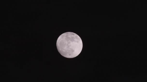 Upływ czasu full Moon przenoszeniem niebo — Wideo stockowe