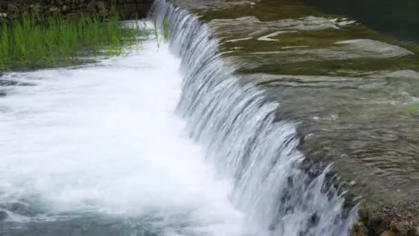 Banias Spring Creek tiro em Israel — Vídeo de Stock