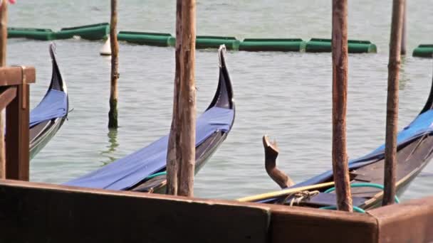 Suggerimenti di gondole attraccate roccia su e giù dalle onde sul Canal Grande — Video Stock