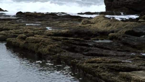 Royalty Free akcií Video záběry z skalnaté pobřeží v Izraeli — Stock video