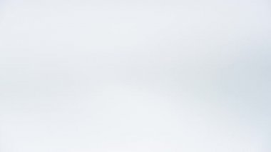 Amerikan para birimi olmak attılar.