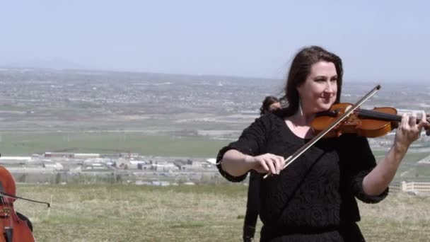 Musicians playing string instruments — Stock Video