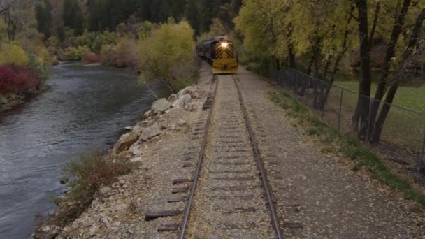 Trein rolt door val landschap — Stockvideo