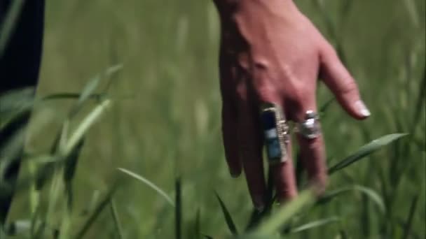 Slow motion shot of a woman's hand touching tall grass. — Stock Video