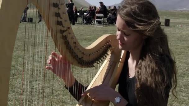 Solo mulher tocando a harpa — Vídeo de Stock