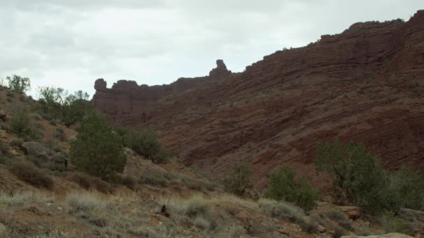 Die Sandsteinschichten bei Moab — Stockvideo