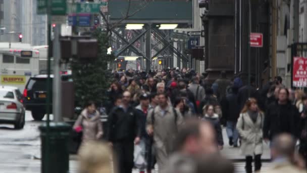 Drukke straat met mensen en voertuigen — Stockvideo