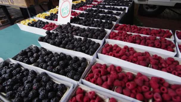 Fresh berries at open market — Stock Video