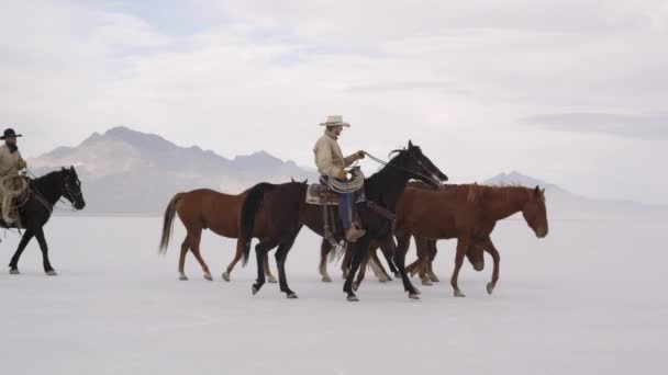 Cow-boys à cheval — Video