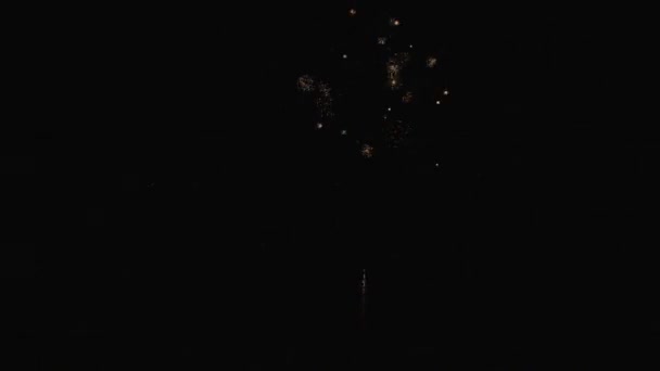 spectacle de feux d'artifice sur ciel 