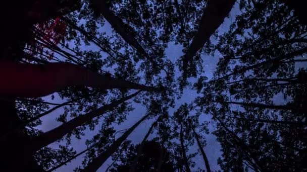 Astro Timelapse à travers les arbres 