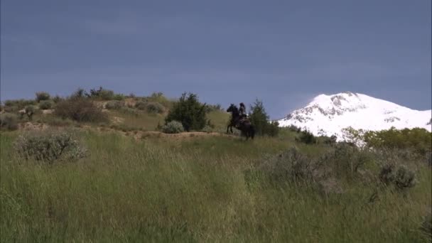 Lambat gerak ditembak wanita di atas kuda naik di negara ini . — Stok Video