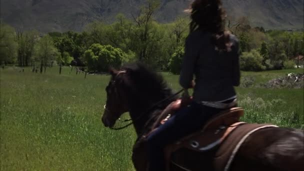 Zeitlupenaufnahme einer Frau zu Pferd. — Stockvideo