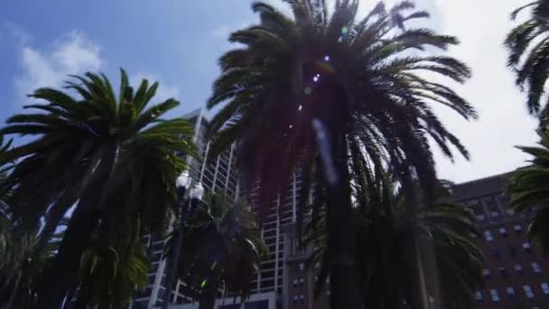 Desde las calles de San Francisco — Vídeo de stock