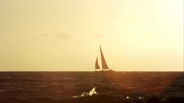 Barca a vela all'orizzonte al tramonto . — Video Stock