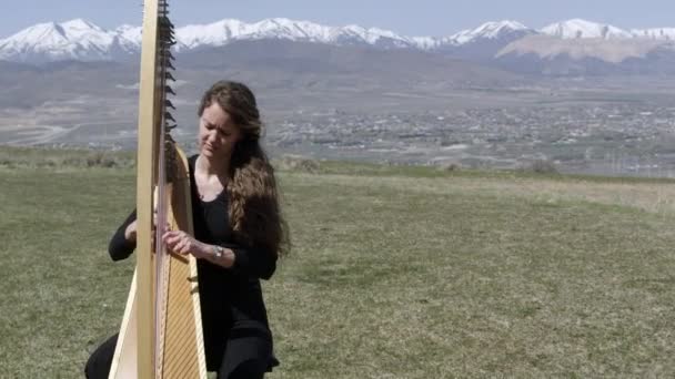 一人の女性がハープを弾く — ストック動画