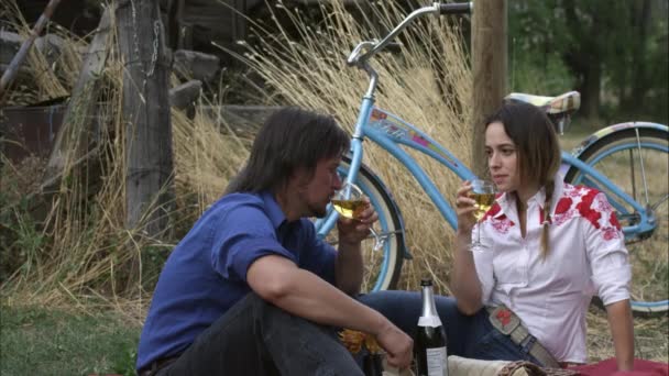 Pareja disfrutando del vino blanco en un picnic al aire libre — Vídeo de stock