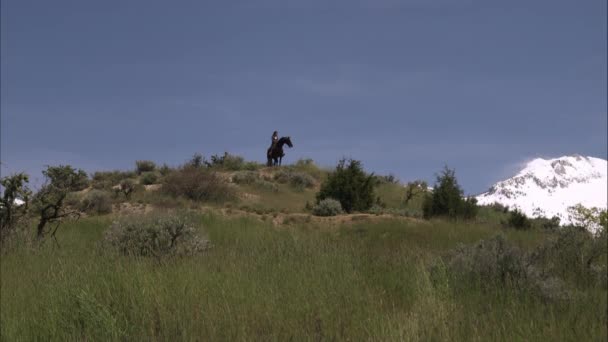 Fotografía en cámara lenta de una mujer a caballo sobre una colina . — Vídeos de Stock