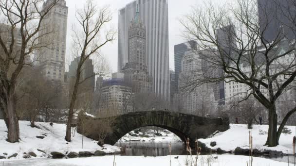 Central Park med bro och skyskrapor. — Stockvideo