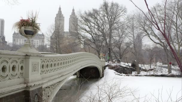 Bogenbrücke im Central Park New York. — Stockvideo