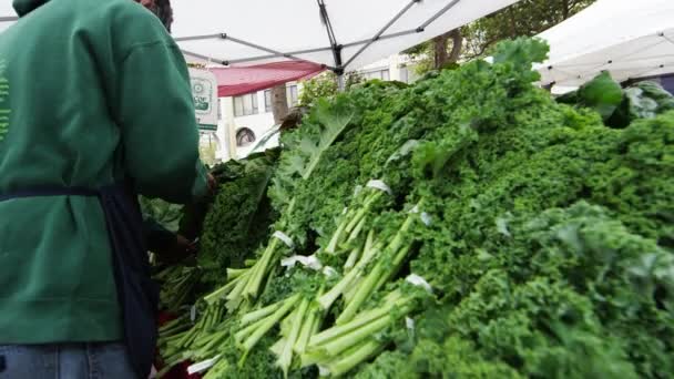 Vegitables em um mercado aberto em San Francisco — Vídeo de Stock