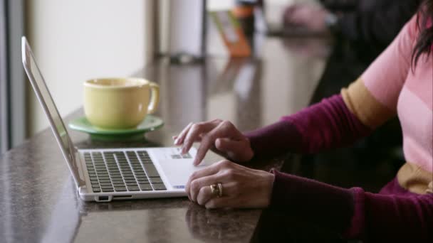 Mani delle donne utilizzando touch pad sul computer portatile — Video Stock