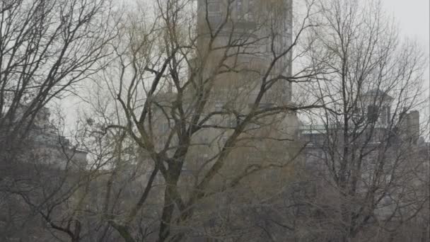 Panning zicht rondom Central Park. — Stockvideo