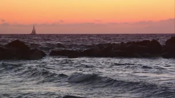 Velero en el horizonte al atardecer . — Vídeos de Stock