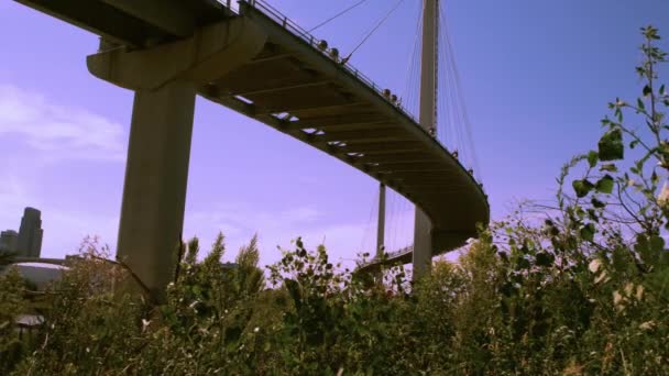 オマハ、ネブラスカ州のボブ ケリー歩道橋 — ストック動画
