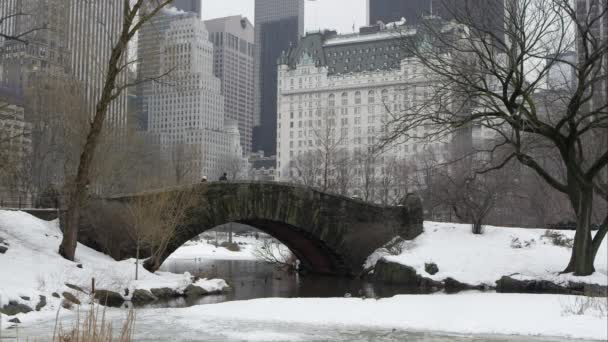 Central Park met brug en wolkenkrabbers. — Stockvideo