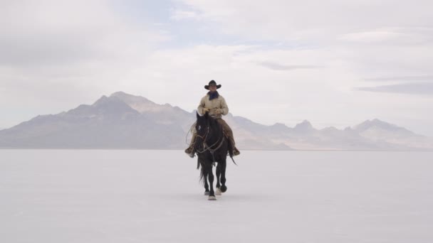 Cowboy-ló hátán — Stock videók