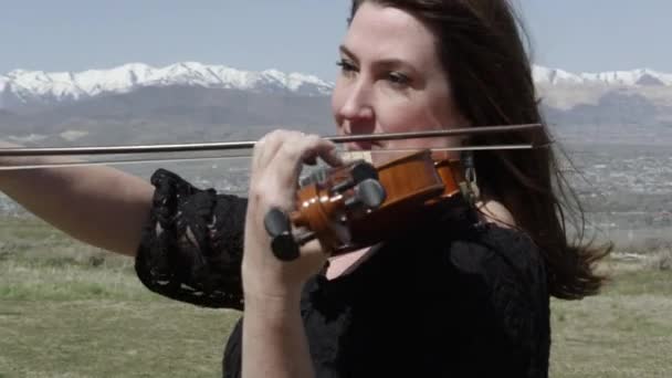 Gente tocando los violines — Vídeo de stock