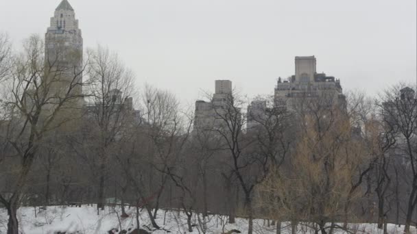 Zwolnionym tempie pan ze w Central Park. — Wideo stockowe