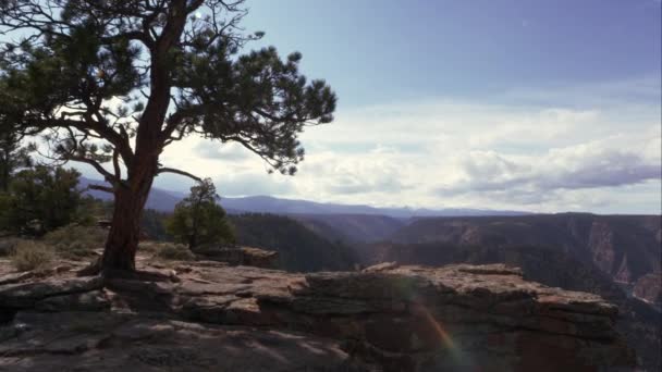 Red Canyon van Flaming Gorge. — Stockvideo