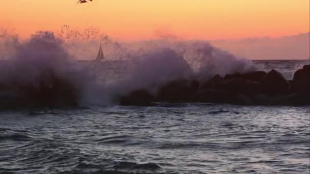 Zeilboot op de horizon bij zonsondergang. — Stockvideo