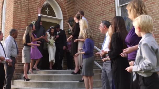 Guests throwing rice over a newlywed couple. — Stock Video