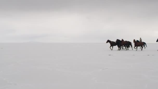 Cowboy a cavallo indietro — Video Stock