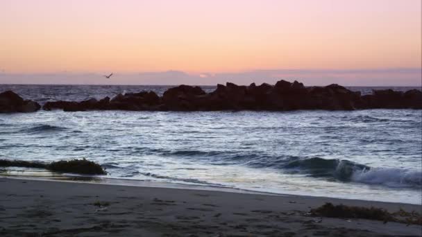 Vågorna kommer till strandlinjen och kraschar på stenar. — Stockvideo