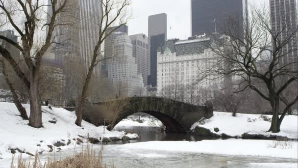 Central Park med bro och skyskrapor. — Stockvideo