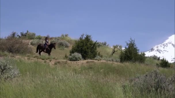 Slow motion skott av en kvinna på hästryggen fallande en kulle. — Stockvideo