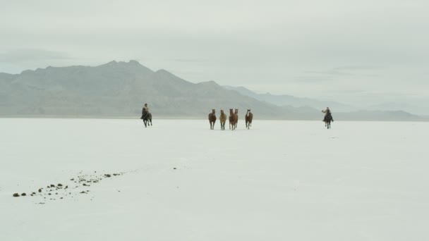 Chevaux courant avec des cow-boys chevauchant à travers des plaines salées . — Video
