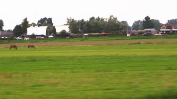 田舎で近所のトラッキング ショット — ストック動画
