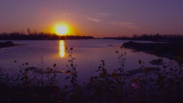 Ηλιοβασίλεμα με θέα μια λίμνη στη Νεμπράσκα. — Αρχείο Βίντεο